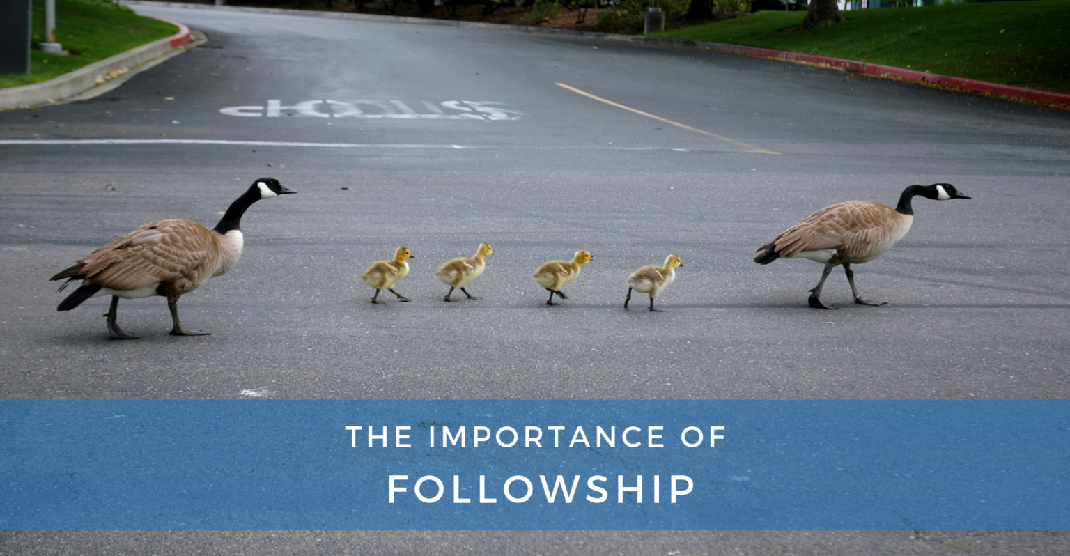 What Is The Meaning Of Followship